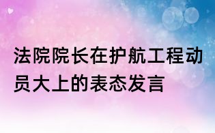 法院院長在護航工程動員大上的表態(tài)發(fā)言