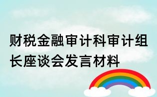 財稅金融審計科審計組長座談會發(fā)言材料