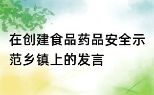 在創建食品藥品安全示范鄉鎮上的發言