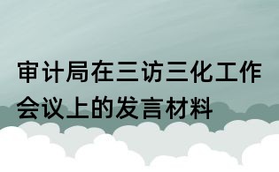 審計局在三訪三化工作會議上的發言材料