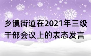 鄉(xiāng)鎮(zhèn)街道在2021年三級干部會議上的表態(tài)發(fā)言