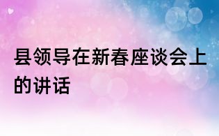 縣領導在新春座談會上的講話