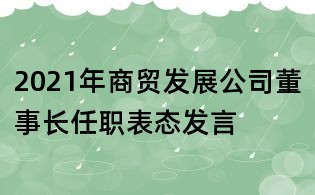 2021年商貿發展公司董事長任職表態發言