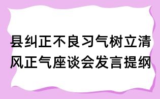 縣糾正不良習氣樹立清風正氣座談會發言提綱