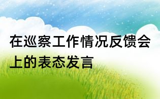 在巡察工作情況反饋會上的表態(tài)發(fā)言