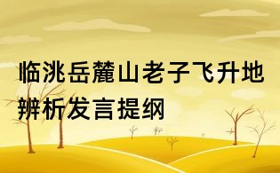 臨洮岳麓山老子飛升地辨析發(fā)言提綱