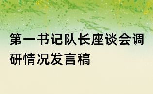 第一書記隊(duì)長(zhǎng)座談會(huì)調(diào)研情況發(fā)言稿