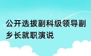 公開選拔副科級領導:副鄉長就職演說