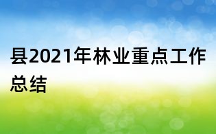 縣2021年林業(yè)重點工作總結(jié)