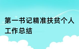 第一書記精準(zhǔn)扶貧個(gè)人工作總結(jié)