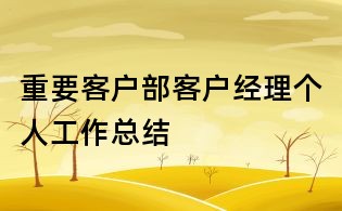 重要客戶部客戶經(jīng)理個人工作總結(jié)