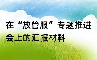 在“放管服”專題推進(jìn)會上的匯報材料