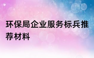 環(huán)保局企業(yè)服務(wù)標兵推薦材料
