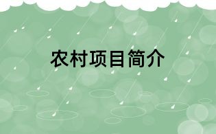 農(nóng)村項目簡介