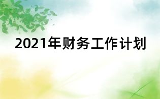 2021年財(cái)務(wù)工作計(jì)劃