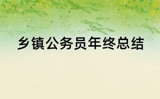 鄉(xiāng)鎮(zhèn)公務(wù)員年終總結(jié)