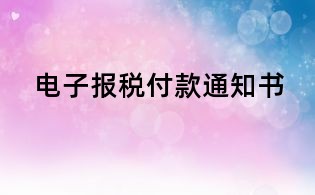 電子報(bào)稅付款通知書(shū)