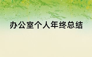 辦公室個人年終總結(jié)