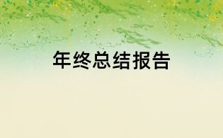 年終總結(jié)報告