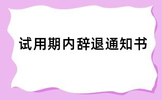 試用期內辭退通知書