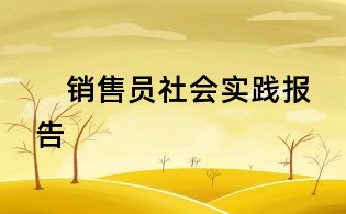 銷售員社會實踐報告