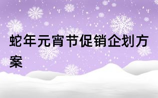蛇年元宵節(jié)促銷企劃方案
