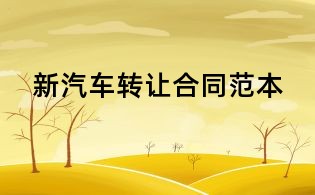 新汽車轉讓合同范本