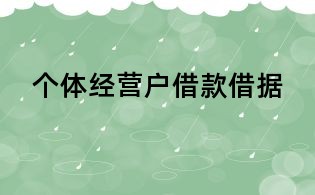 個(gè)體經(jīng)營戶借款借據(jù)