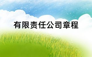 有限責任公司章程