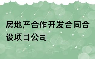 房地產(chǎn)合作開(kāi)發(fā)合同合設(shè)項(xiàng)目公司