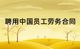 聘用中國(guó)員工勞務(wù)合同