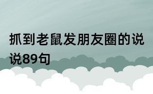 抓到老鼠發(fā)朋友圈的說(shuō)說(shuō)89句