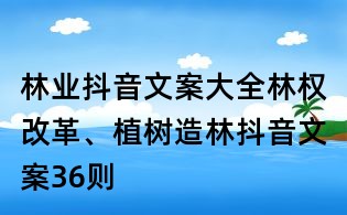 林業抖音文案大全：林權改革、植樹造林抖音文案36則