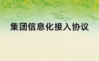 集團(tuán)信息化接入?yún)f(xié)議