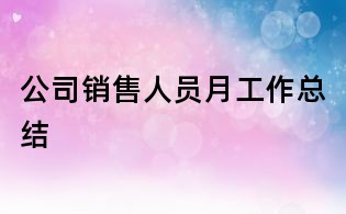 公司銷售人員月工作總結(jié)