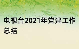電視臺(tái)2021年黨建工作總結(jié)