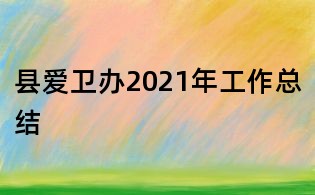 縣愛衛(wèi)辦2021年工作總結(jié)
