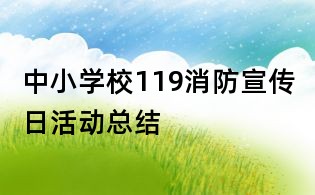中小學校119消防宣傳日活動總結