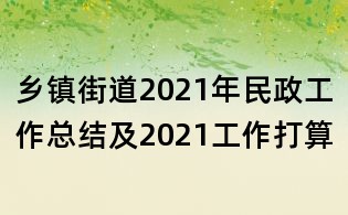 鄉(xiāng)鎮(zhèn)街道2021年民政工作總結(jié)及2021工作打算
