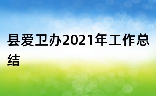 縣愛(ài)衛(wèi)辦2021年工作總結(jié)