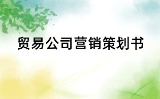 貿(mào)易公司營(yíng)銷策劃書