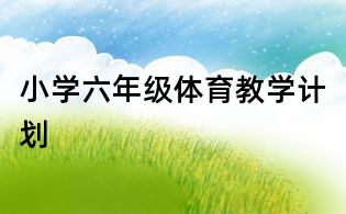小學六年級體育教學計劃