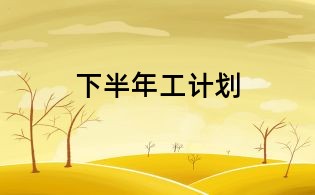 下半年工計劃