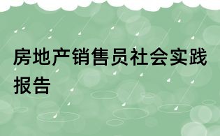 房地產(chǎn)銷售員社會(huì)實(shí)踐報(bào)告