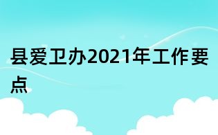 縣愛衛(wèi)辦2021年工作要點