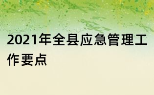 2021年全縣應急管理工作要點