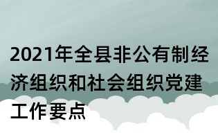 2021年全縣非公有制經(jīng)濟(jì)組織和社會(huì)組織黨建工作要點(diǎn)