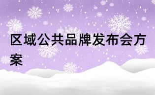 區域公共品牌發布會方案
