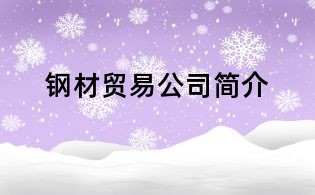 鋼材貿(mào)易公司簡介