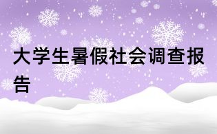 大學(xué)生暑假社會調(diào)查報告